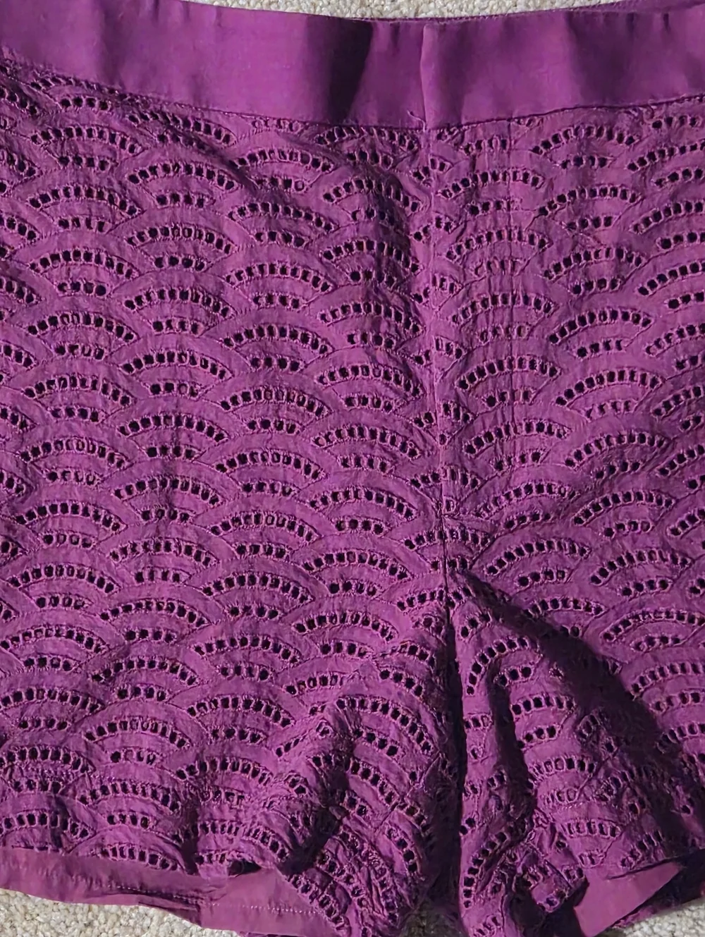 Calvin Klein Purple Scalloped Eyelet Lace Shorts Magenta Size 12